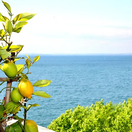 Hotel Kriss Internazionale 4*