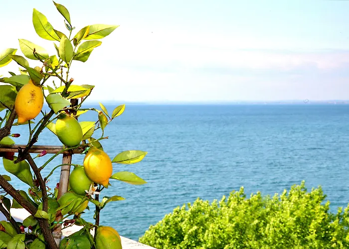 Otel Kriss Internazionale 4*